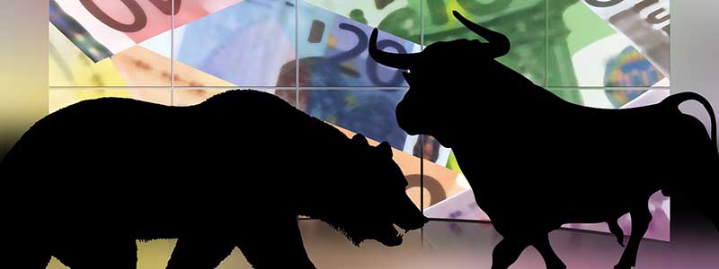 stock exchange bear bull